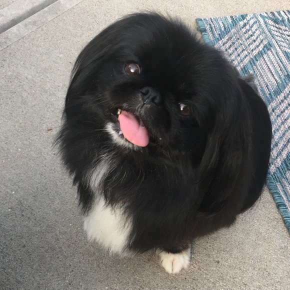 Meet your Posher, Melanie - Picture 5 of 16